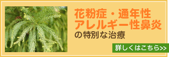 花粉症・通年性・アレルギー性鼻炎の特別な治療法